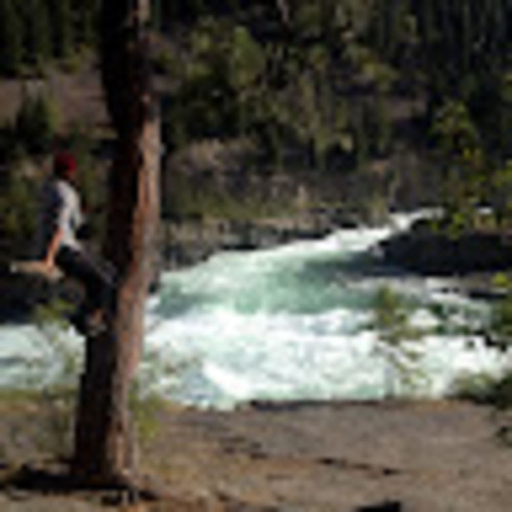 Meet your Posher, Tess